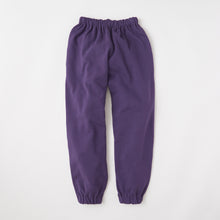 画像をギャラリービューアに読み込む, MODEL013(2021) Fuji